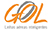 gol_logo